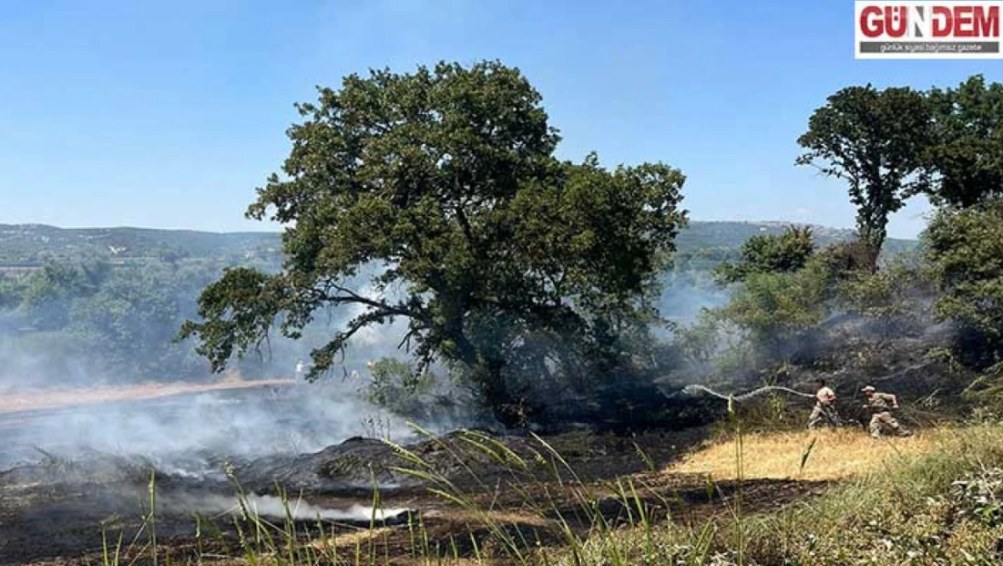 3 bölgede çıkan anız yangınları söndürüldü