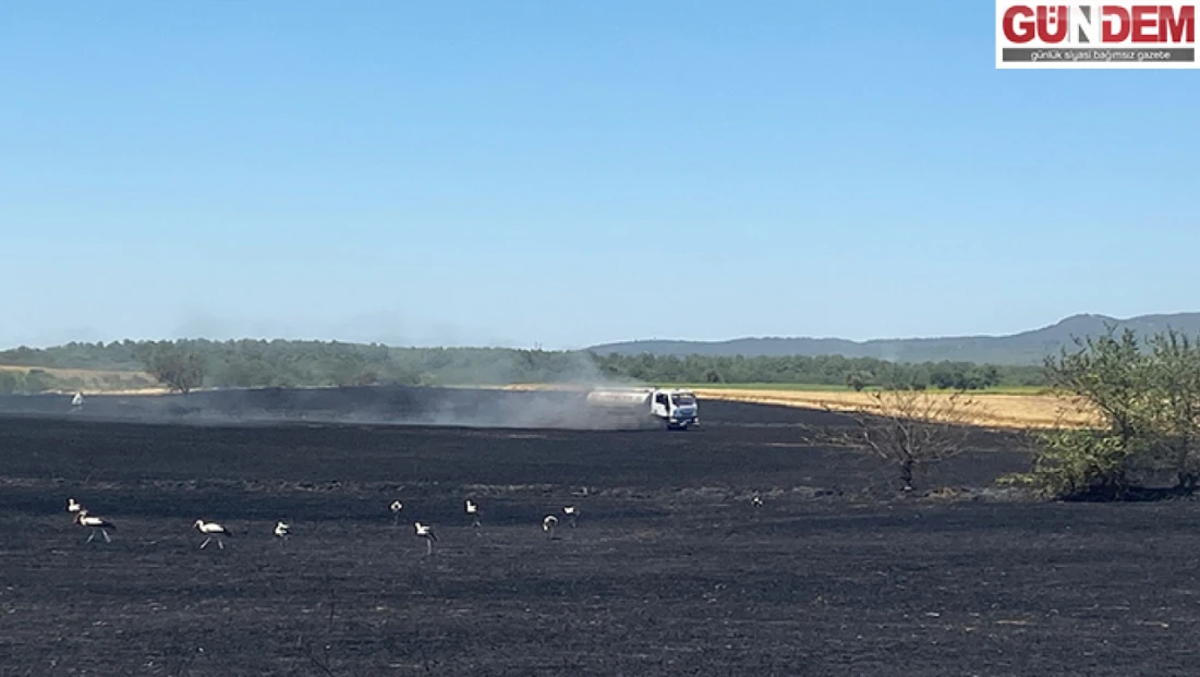 Buğday tarlasında çıkan yangın söndürüldü