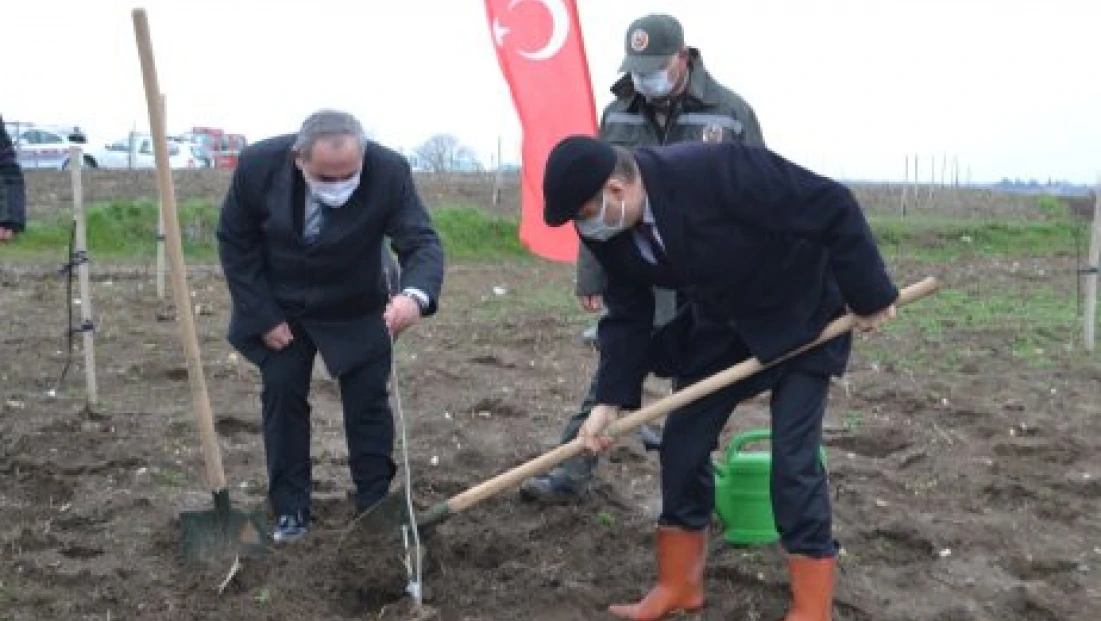 YENİDEN YEŞERECEK