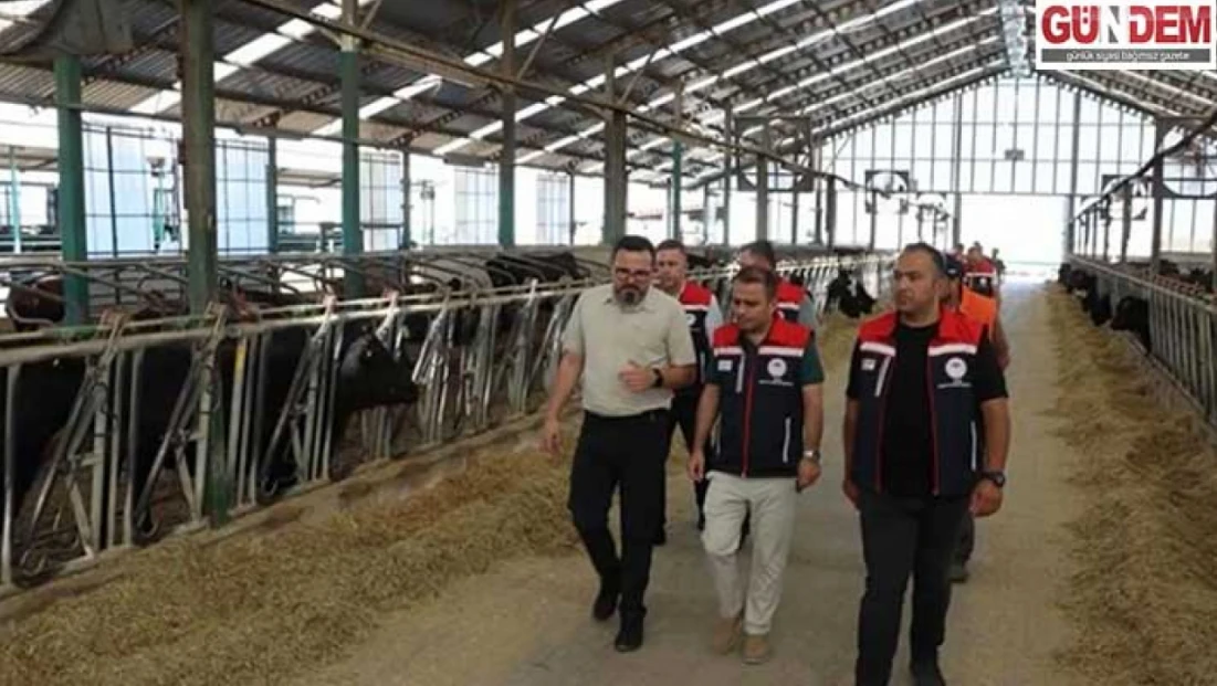 Hayvan sağlığı için yoğun mesai