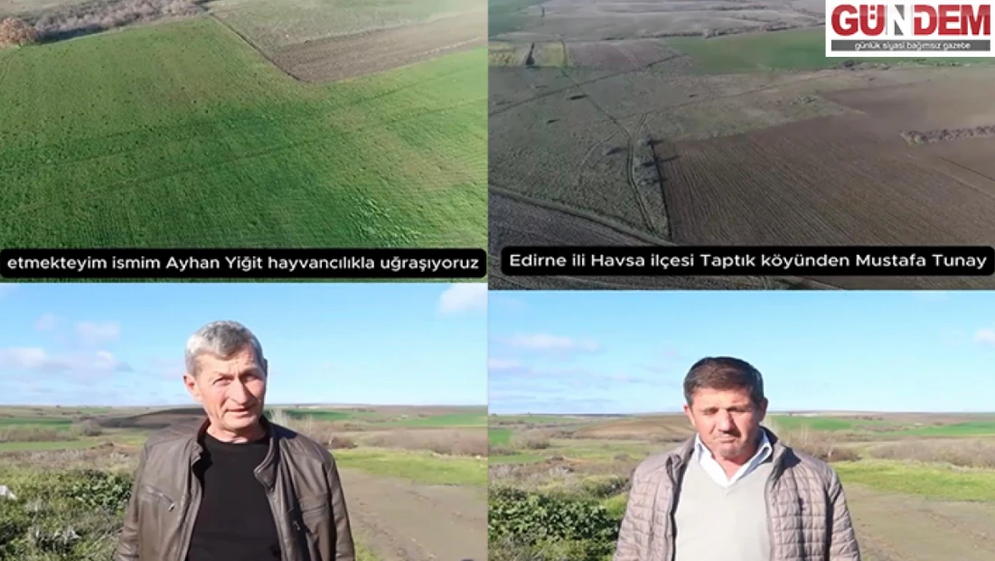 Mera ıslahı hayvancılığa can suyu oldu