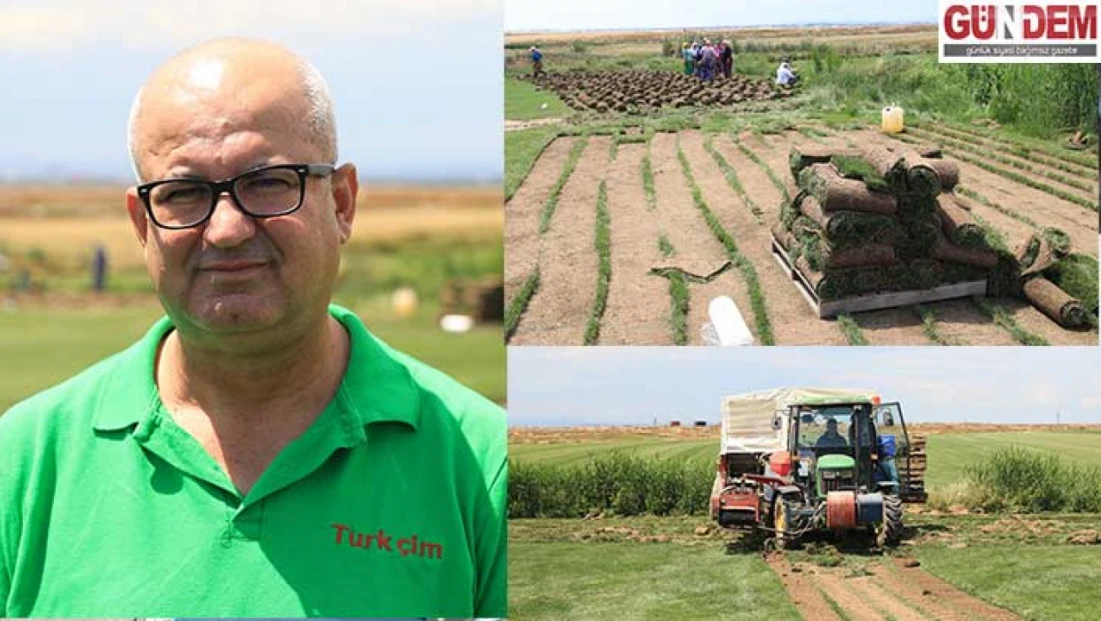 Rulo çim üreten tesis köyden kente göçü tersine çevirdi