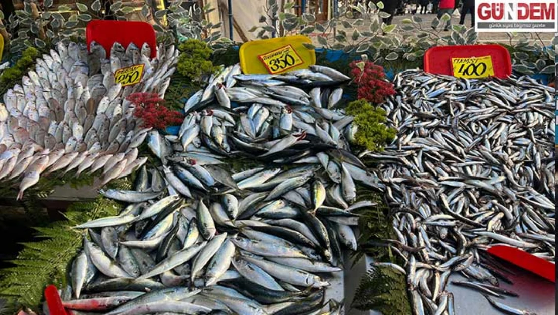 Sıcak hava balık bolluğunu azalttı