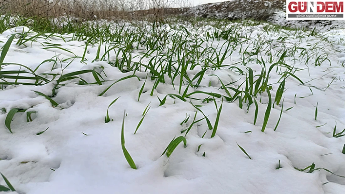 Trakya’da üretici yağışlarla rahat bir nefes aldı