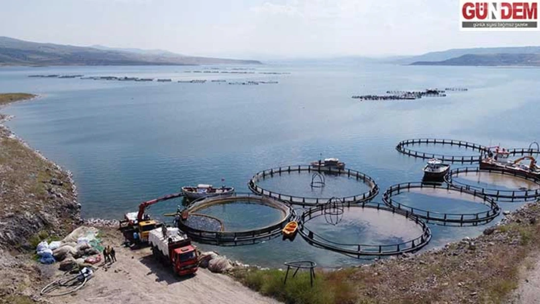 Türkiye’de balıkçılıkta tarihi rekor: Üretim 1 milyon 20 bin tona ulaştı