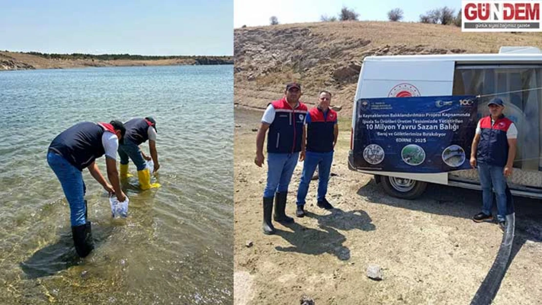 1 milyon 844 bin pullu sazan yavruları Kırklareli'ndeki göletlere bırakıldı