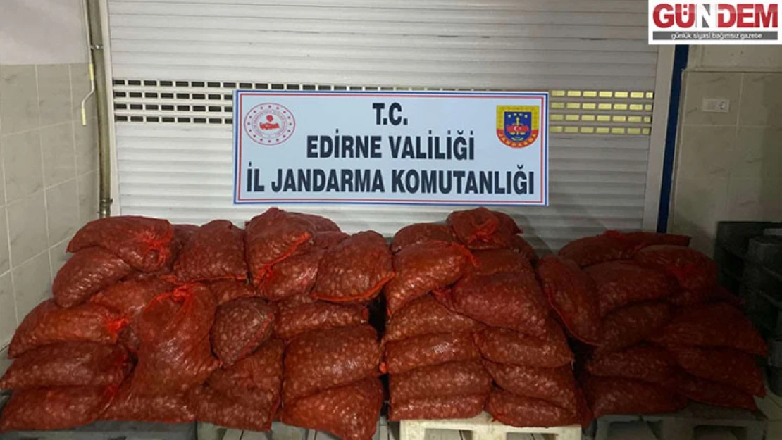 1 ton 662 kilo kum midyesi ele geçirildi