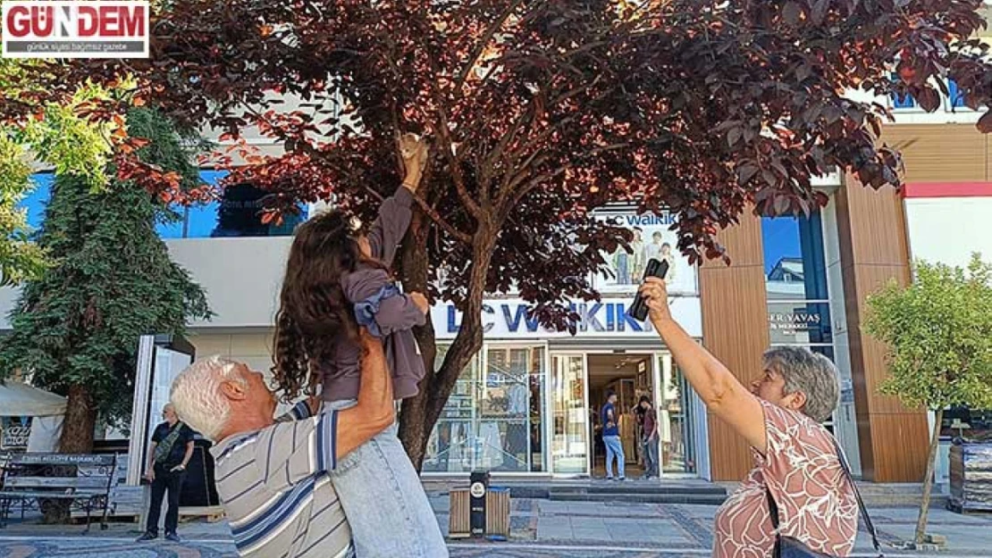 10 yaşındaki Derin'in örnek davranışı takdir topladı