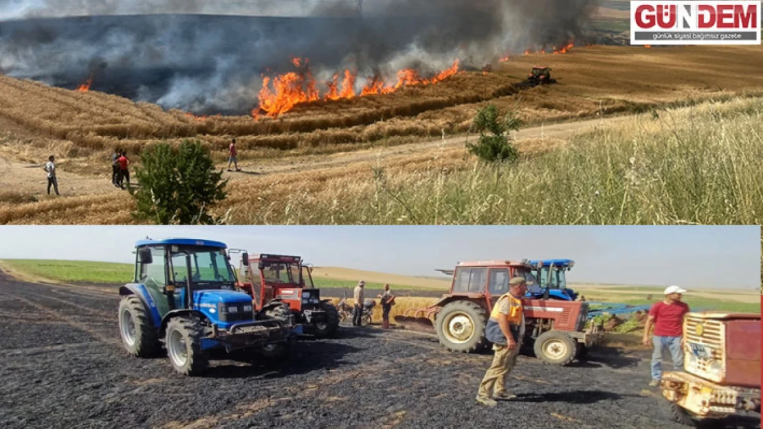 110 dönümlük buğday ekili alan yandı