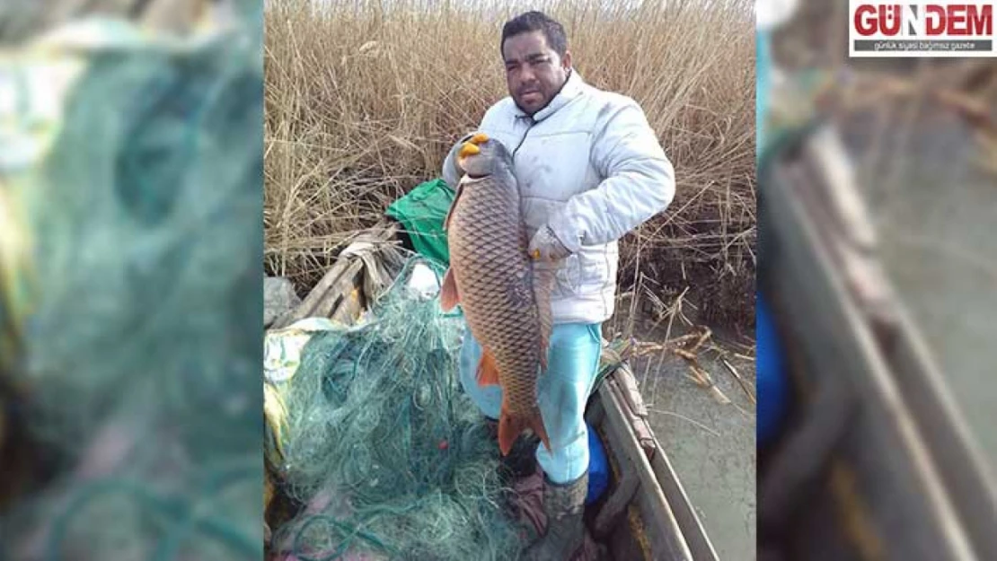 18 kilogramlık sazan balığı yakaladı