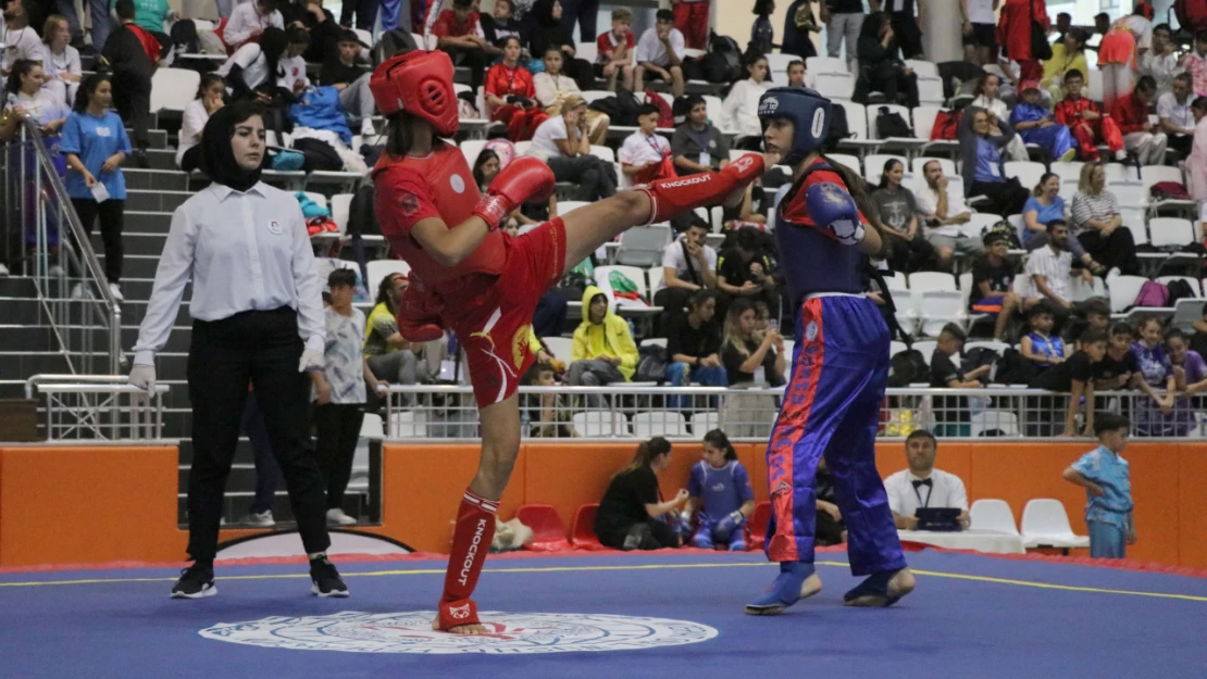 6. Açık Balkan Wushu Kung Fu Şampiyonası Edirne'de başladı