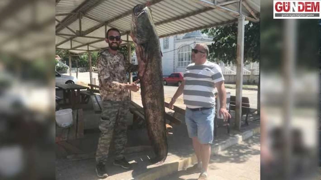 80 kilogramlık yayın balığı yakaladı