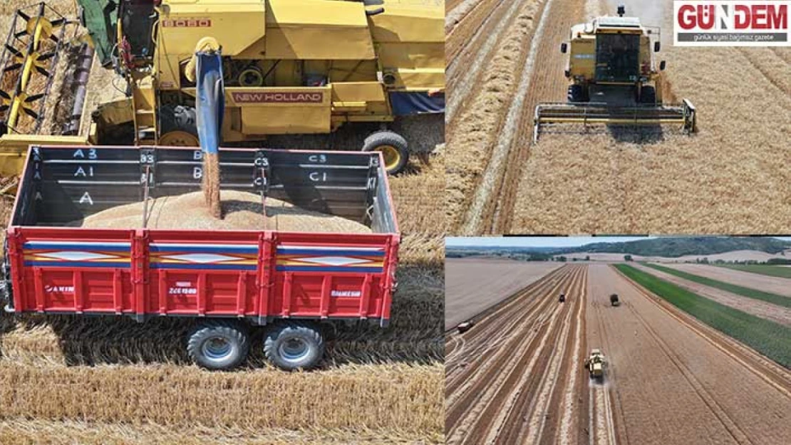 Arabacı, 'Verimler dekarda 250-400 kilogram arasında değişiyor'