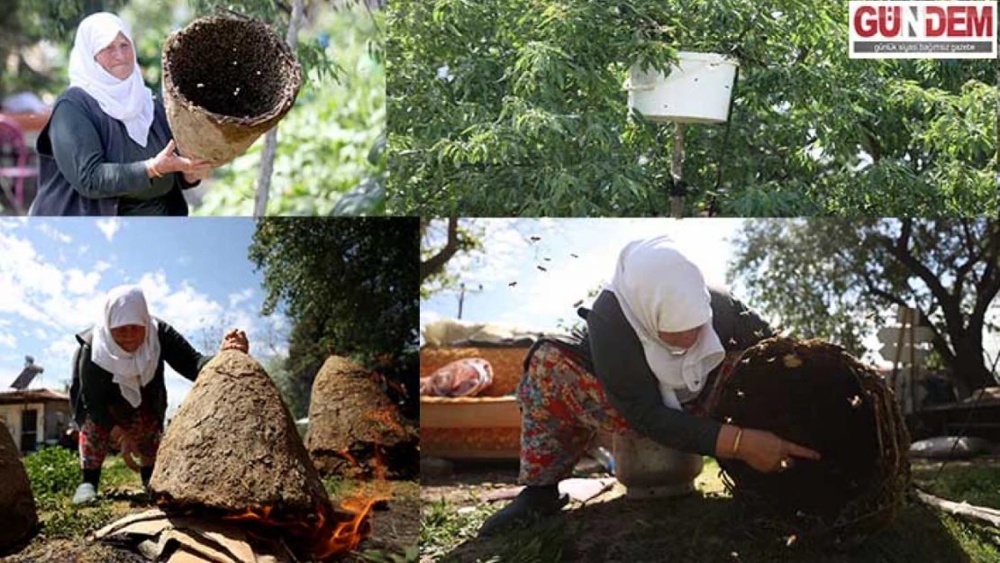 Arıcıların 'oğul alma' mesaisi başladı