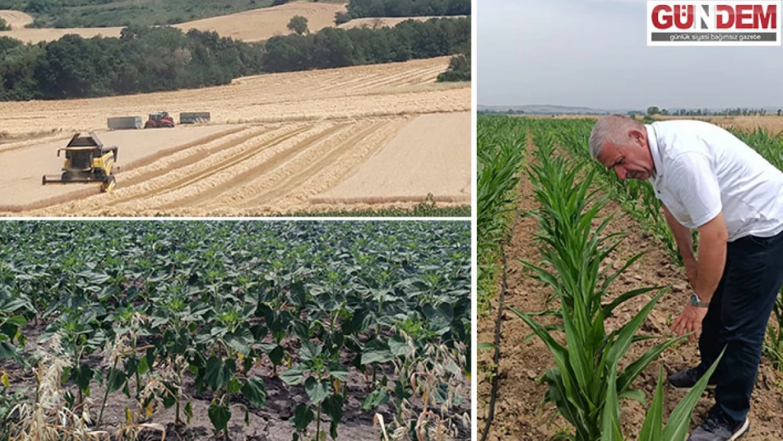 Arpa ve buğday hasadı yapan çiftçiler uyarıldı