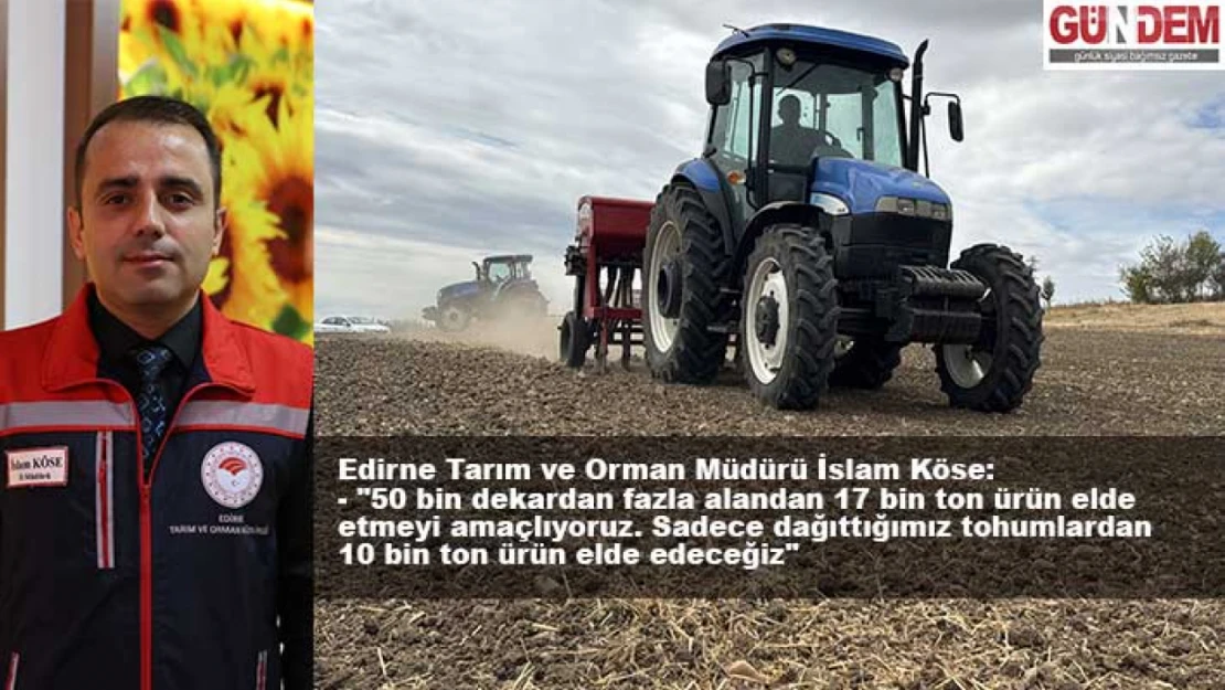 Ayçiçeğinden istediği verimi alamayan üretici kanolaya yöneldi