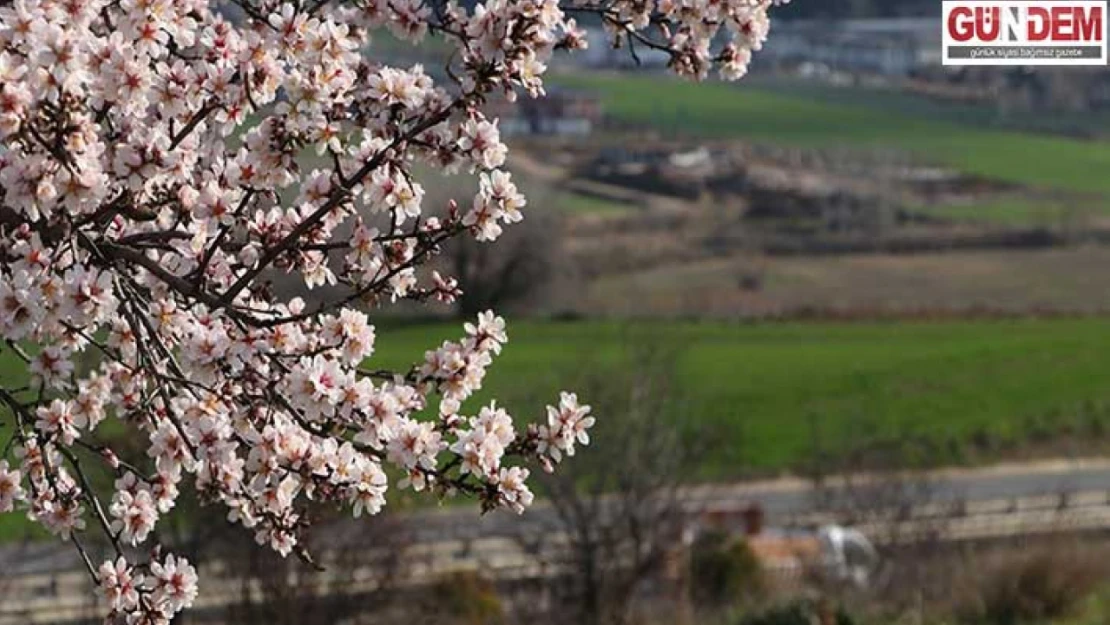 Baharın Habercisi İlk Cemre Düştü