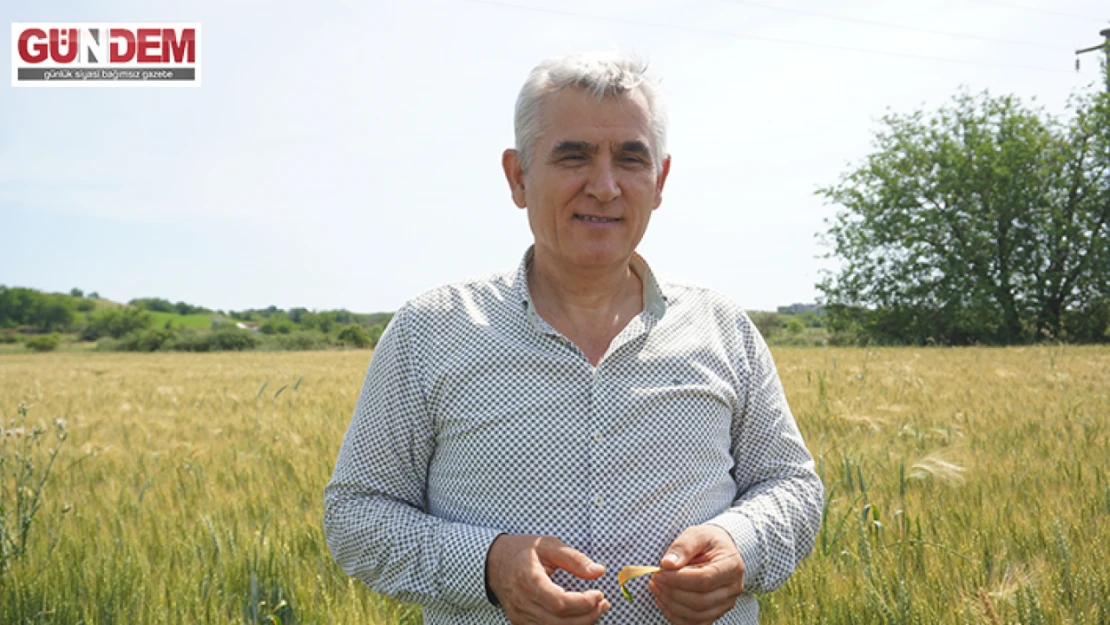 Balkan Tohumcular Birliği yerli tohumların Avrupa'ya açılmasına katkı sağlayacak