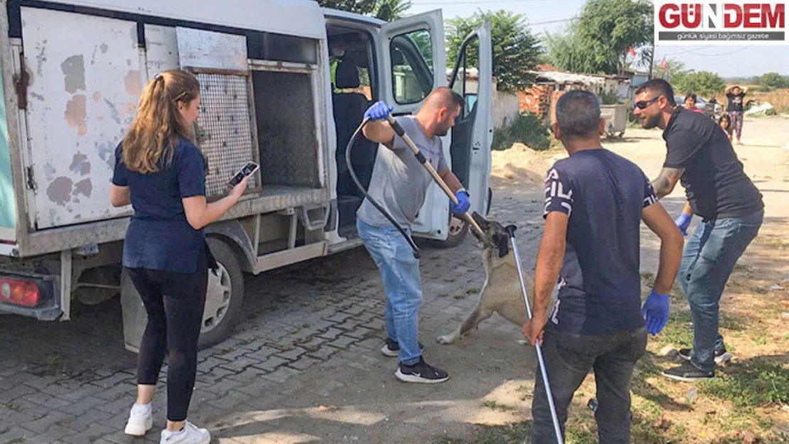 Çevre, doğa ve hayvanların korunmasına yönelik çalışma başlatıldı