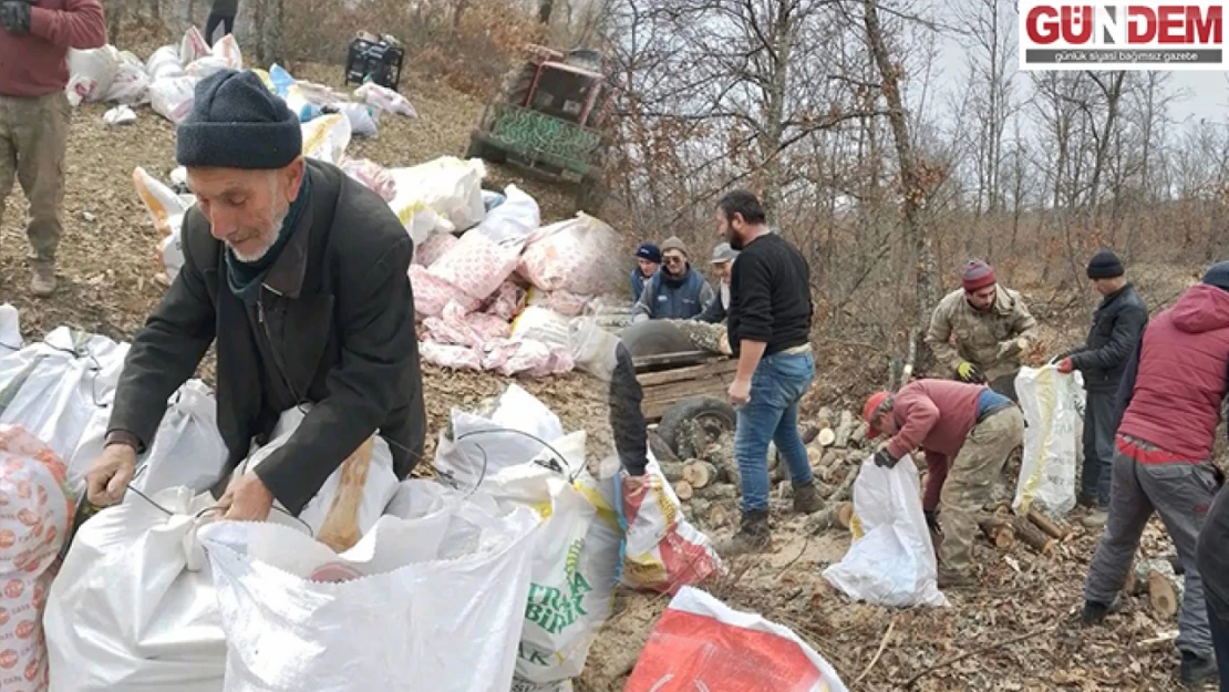 Deprem bölgesine gönderilmek üzere odun kesimi gerçekleştirildi