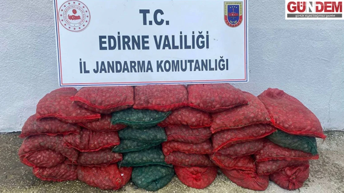 Edirne'de 1 ton kum midyesi ile yakalanan 2 kişiye 297 bin lira ceza