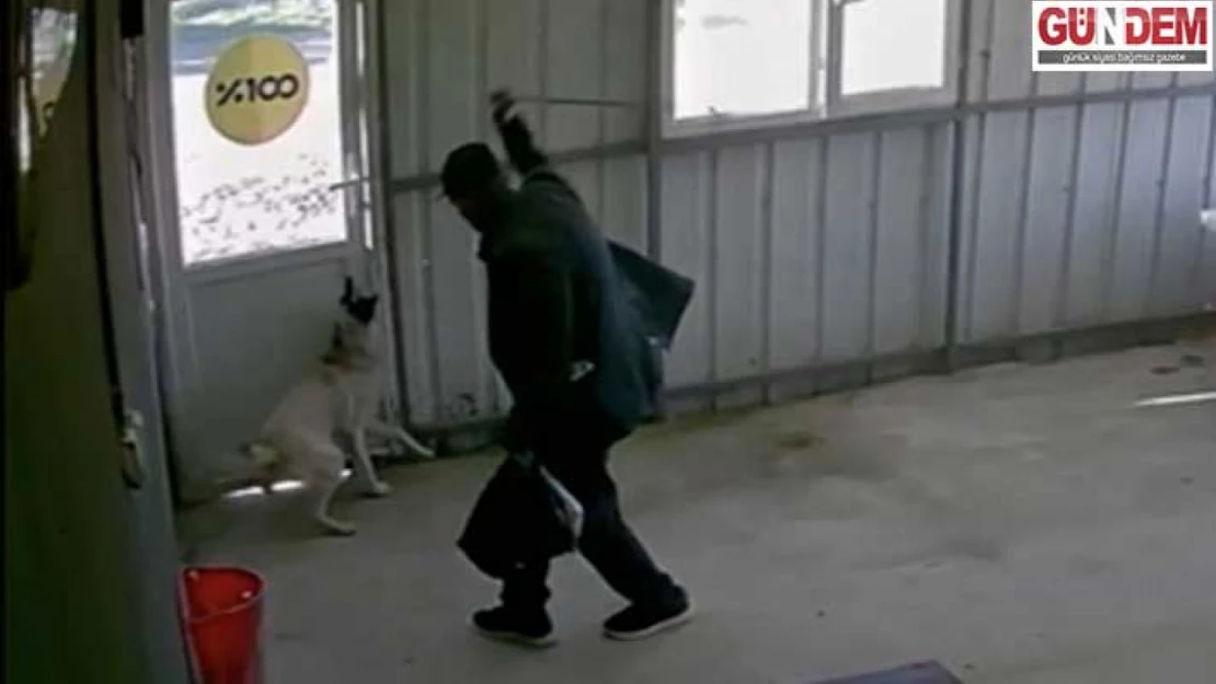 Edirne'de 5 aylık köpek köy sakini tarafından bastonla dövüldü
