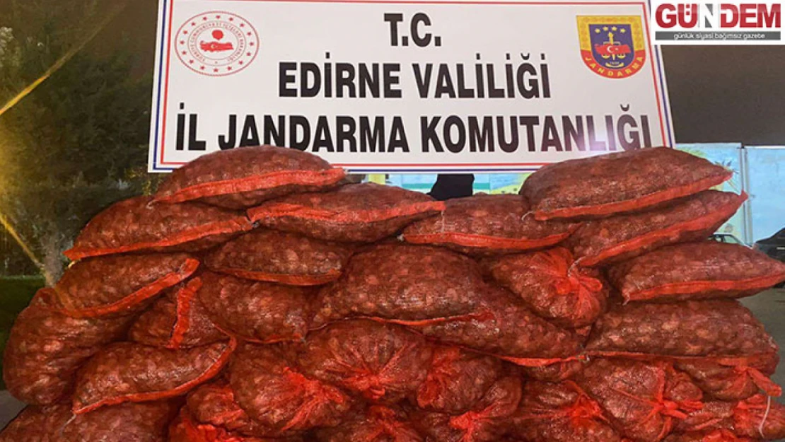 Edirne'de 600 kilogram kaçak kum midyesi ele geçirildi