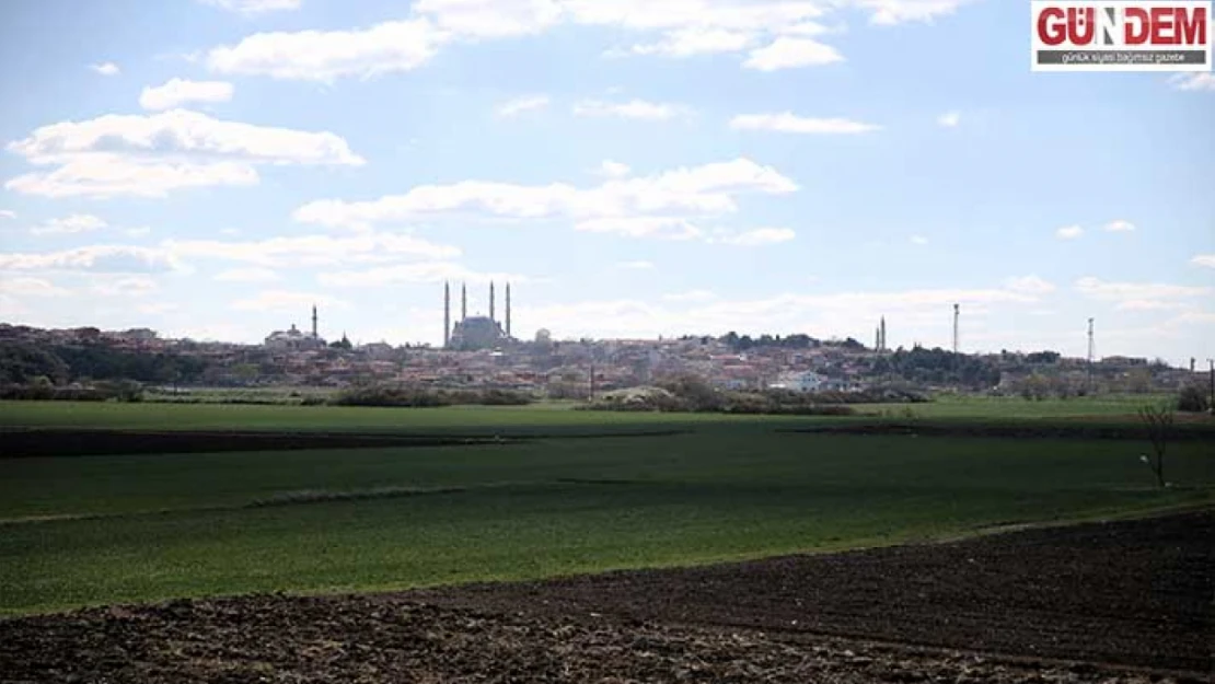 Edirne'de 'ani hava değişimi' zirai ürünlerin gelişimini durdurdu