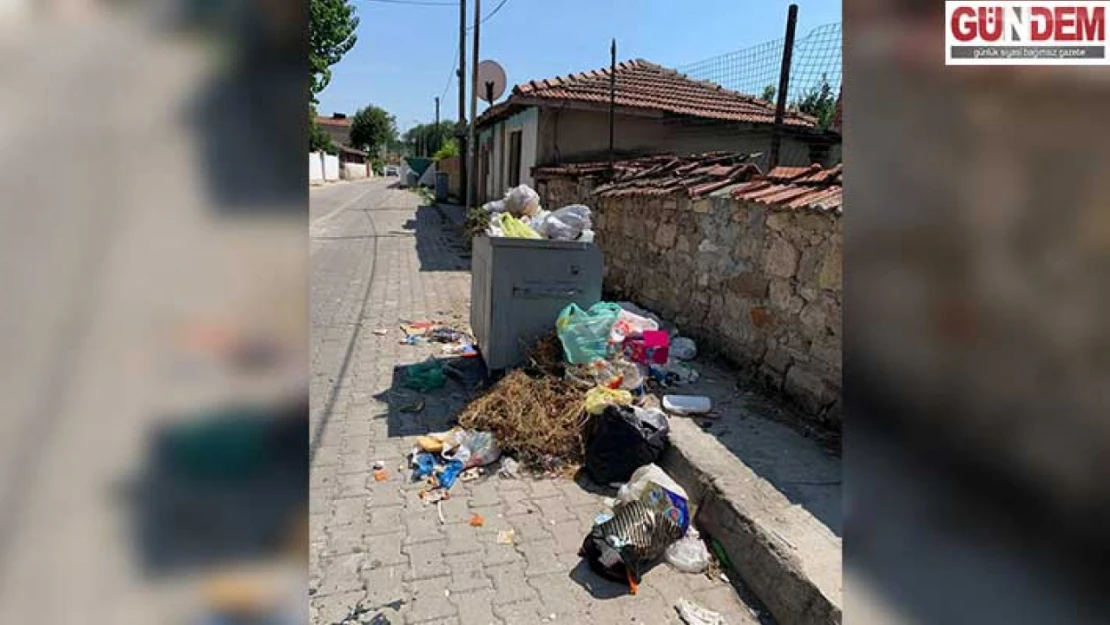 Edirne'de çöp sorunu bitmiyor