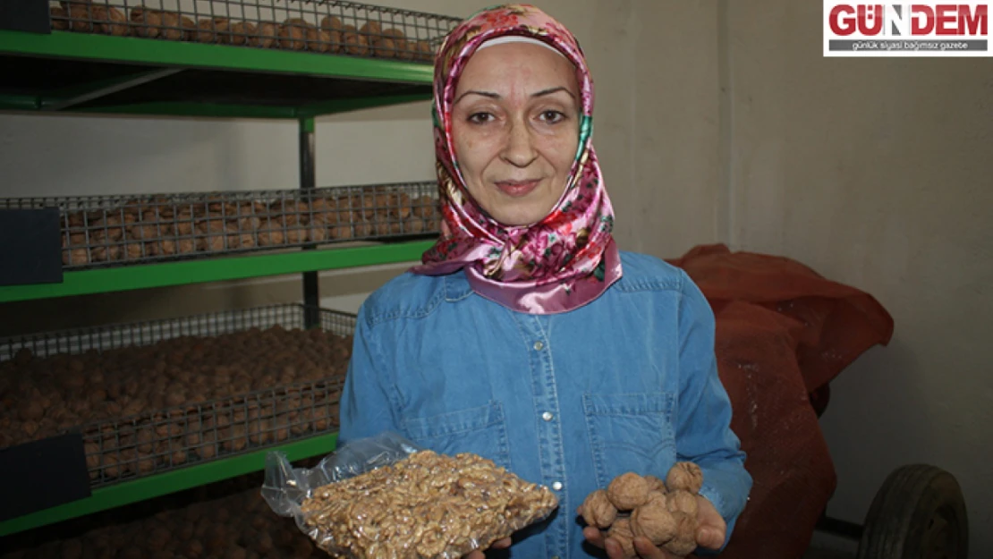 Edirne'de kadın girişimci devlet desteğiyle ceviz işleme tesisi kurdu