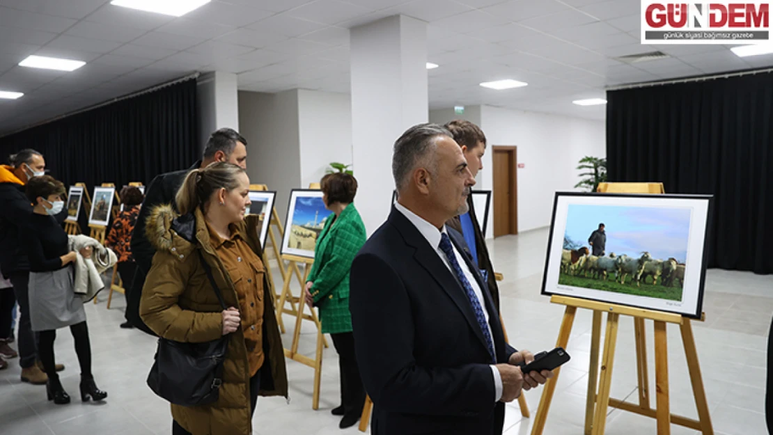 Edirne'de 'meşhur peynir'in üretim aşamaları 100 bin kare ile fotoğraflandı
