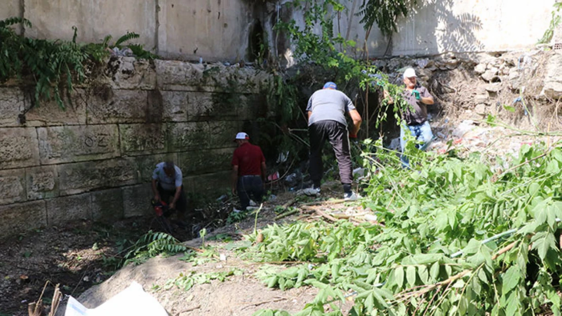 Edirne'de Roma döneminden kalma surlarda temizlik çalışması başlatıldı