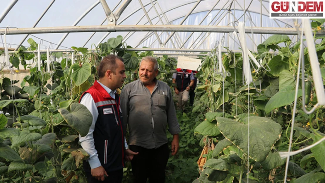 Edirne'de Sera Kurulumu Projesinde İncelemeler