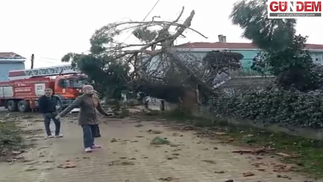 Edirne'de şiddetli fırtına etkili oldu