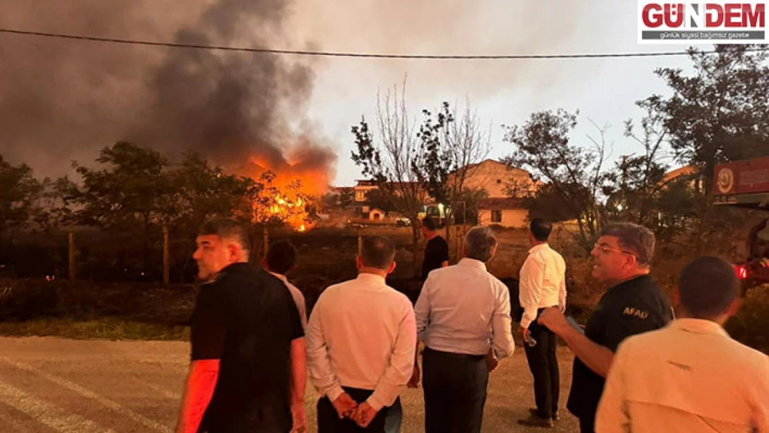 Edirne'nin Enez ilçesindeki orman yangınına müdahale sürüyor