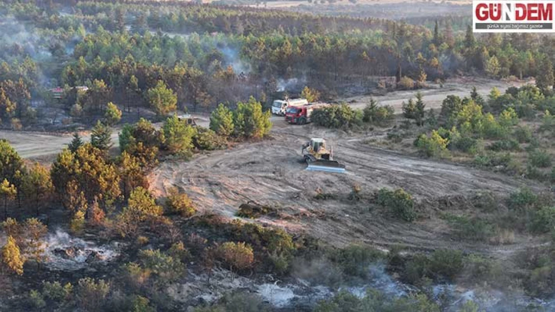 Enez'deki orman yangınında zarar ortaya çıktı