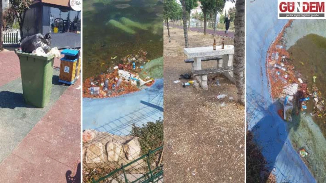 Gölet Parkı'nda yosun ve çöp isyanı