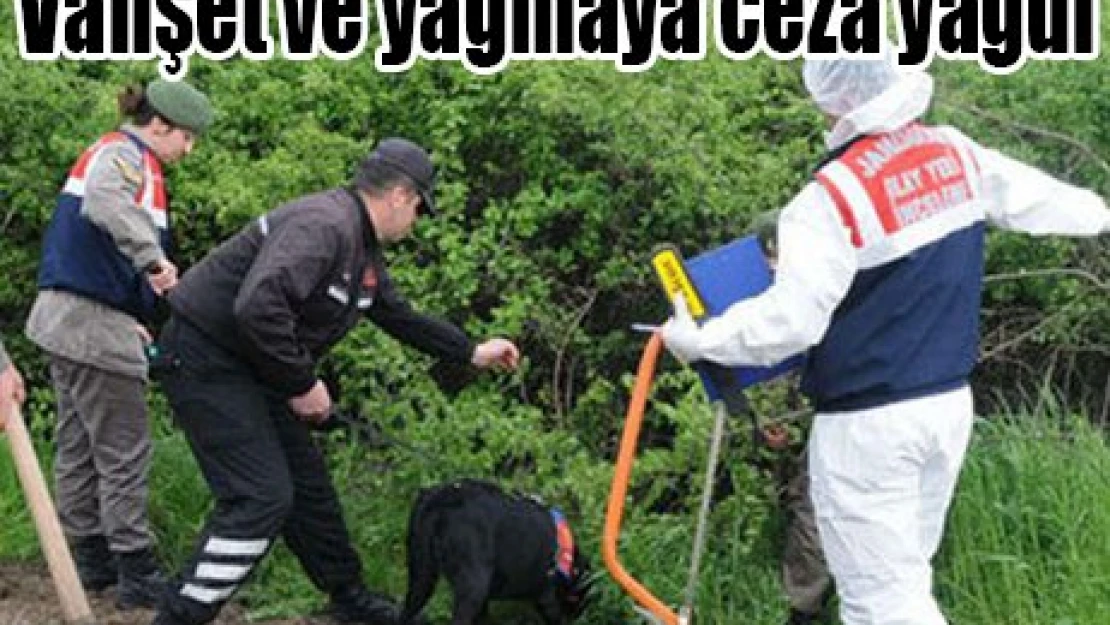 Vahşet ve yağmaya ceza yağdı