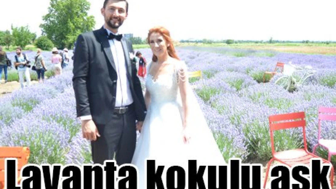 Lavanta kokulu aşk