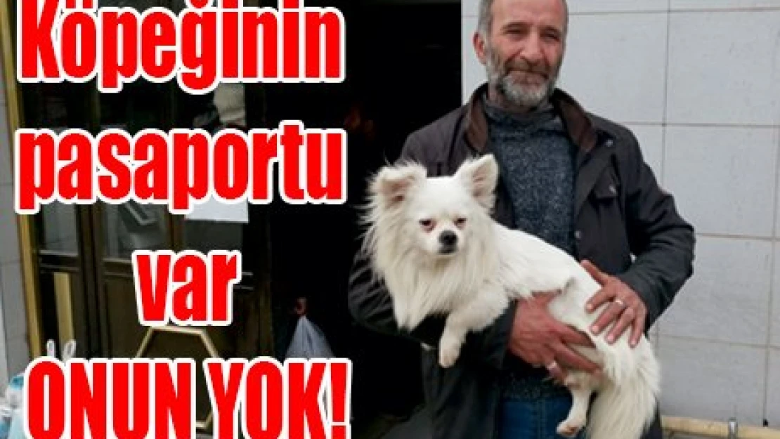 Köpeğinin pasaportu var ONUN YOK!