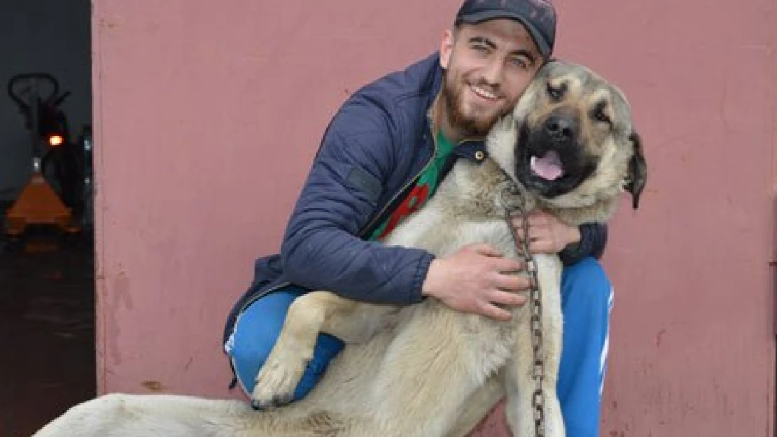 Ceza'yı tırın altından son anda kurtardı