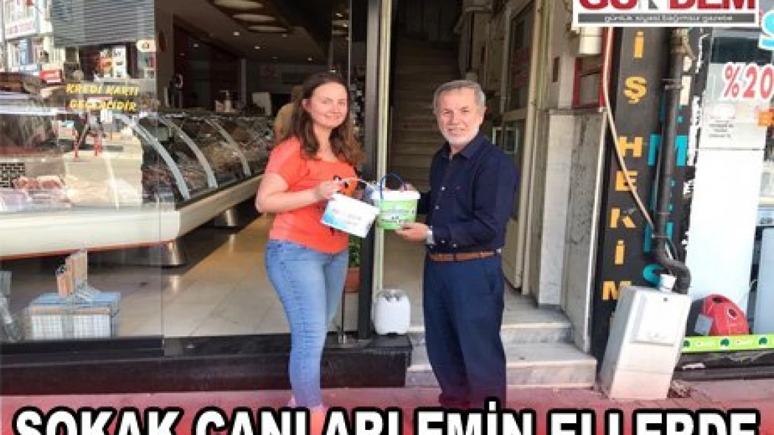 Sokak Canları Emin Ellerde