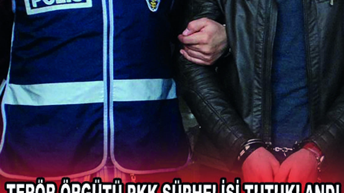 TERÖR ÖRGÜTÜ PKK ŞÜPHELİSİ TUTUKLANDI