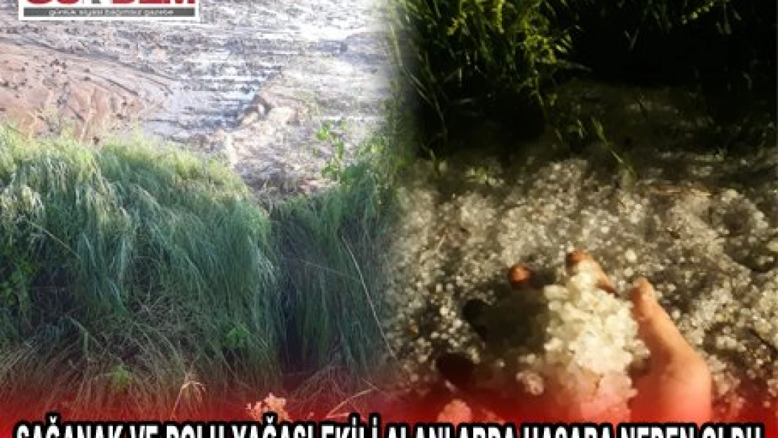 SAĞANAK VE DOLU YAĞAŞI EKİLİ ALANLARDA HASARA NEDEN OLDU.