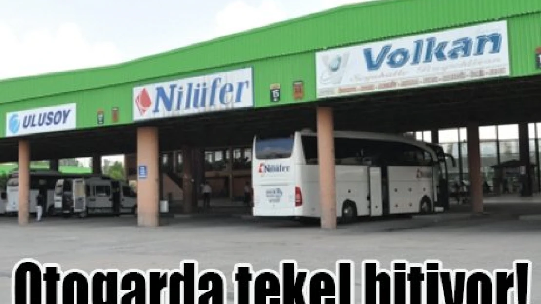 Otogarda tekel bitiyor!
