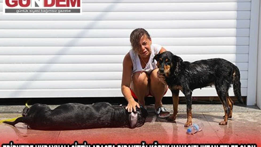 EDİRNE'DE UKRAYNALI ÇİFTİN ARAÇTA BIRAKTIĞI KÖPEK HAVASIZLIKTAN TELEF OLDU