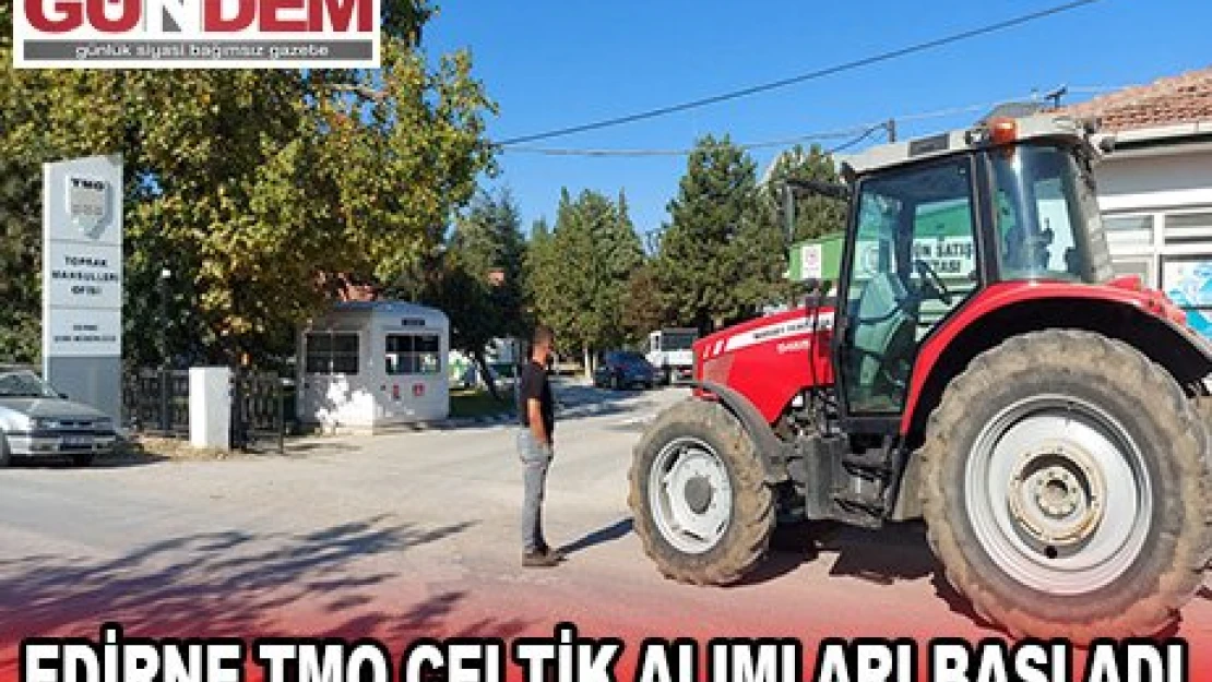 Edirne TMO çeltik alımları başladı