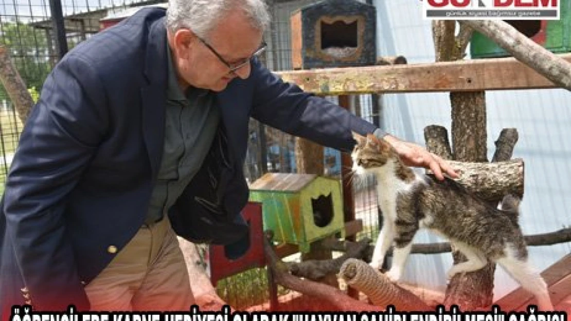 Edirne'de öğrencilere karne hediyesi olarak 'hayvan sahiplendirilmesi' çağrısı