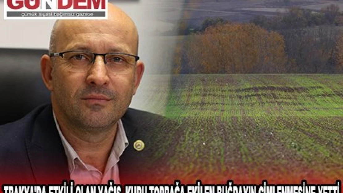 TRAKYA'DA ETKİLİ OLAN YAĞIŞ, KURU TOPRAĞA EKİLEN BUĞDAYIN ÇİMLENMESİNE YETTİ