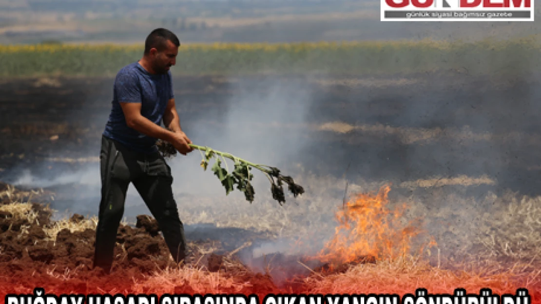 Buğday hasadı sırasında çıkan yangın söndürüldü
